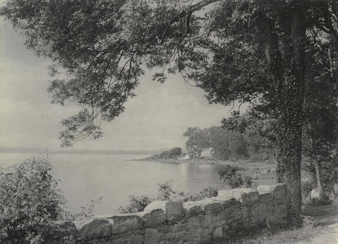 Lough Swilly at Rye
