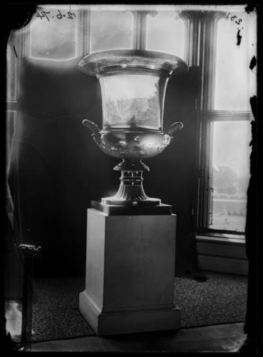 Glass plate negative of the St Petersburg Vase Glass plate negative of the St Petersburg Vase