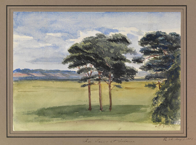 Master: Queen Victoria's Sketchbook 1848-1854
Item: Fir Trees at Osborne