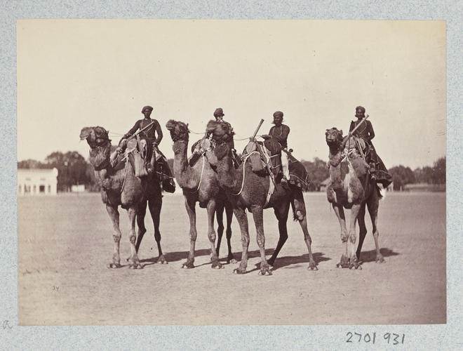 Camel Guns: Prince of Wales Tour of India 1875-6 (vol. 6) Camel Guns: Prince of Wales Tour of India 1875-6 (vol. 6)