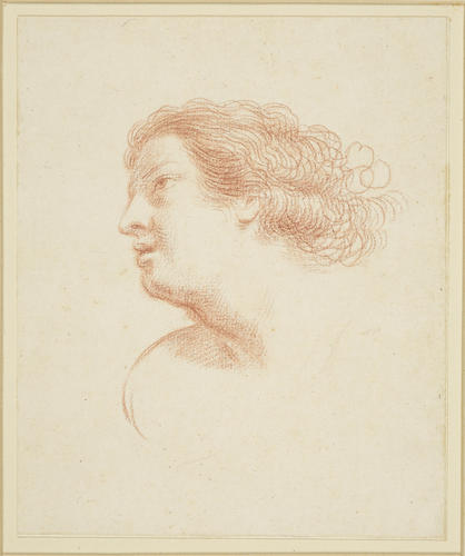 A head of a woman with curly hair A head of a woman with curly hair
