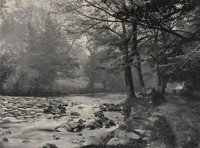 The Fairy Glen, Rostrevor The Fairy Glen, Rostrevor