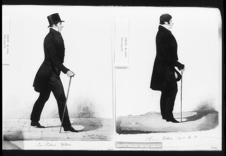 Sir Robert Wilson