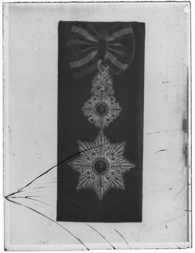 Glass plate negative of the Austrian order of Elizabeth Glass plate negative of the Austrian order of Elizabeth