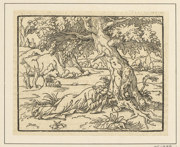 Master: Discours du Songe de Poliphile [Hypnerotomachia Poliphili]
Item: Poliphilo stretches himself out beneath an oak