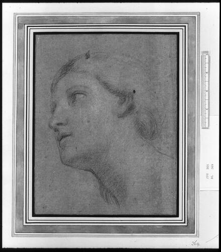 The head of a woman The head of a woman