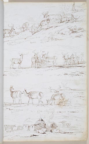 Sketchbook