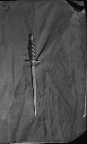 Glass plate negative Glass plate negative