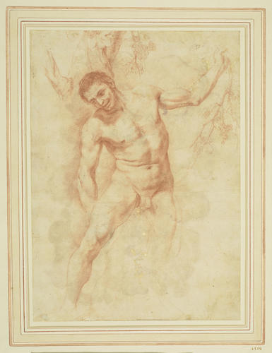 A male nude, standing in front of a tree A male nude, standing in front of a tree
