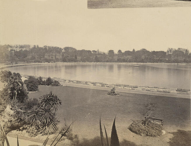 The Cruise of HMS Bacchante 1879-1882: Botanical Gardens, Farm Cove, Sydney, Australia The Cruise of HMS Bacchante 1879-1882: Botanical Gardens, Farm Cove, Sydney, Australia
