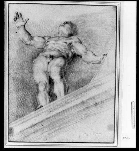 A male nude seen from below