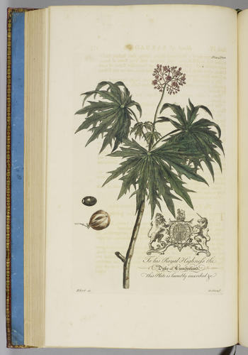 The Natural history of Barbados, in ten books / by Rev. Griffith Hughes The Natural history of Barbados, in ten books / by Rev. Griffith Hughes