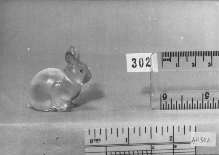 Rabbit