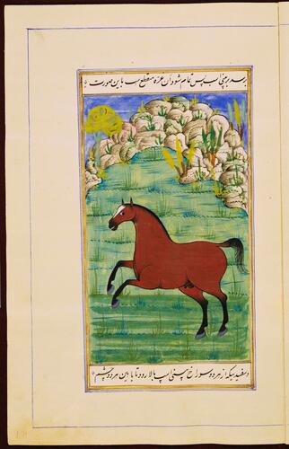 Farasnamah فرسنامه (A Treatise on Horses) and Dawlatnamah دولتنامه (A Treatise on Falcons)