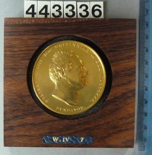 Specimen Patron's Medal or Founder's Medal of the Royal Geographical Society