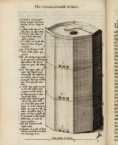 The reformed common wealth of bees; presented in severall letters and observations to Sammuel Hartlib esq. with the reformed Virginian silkworm. .