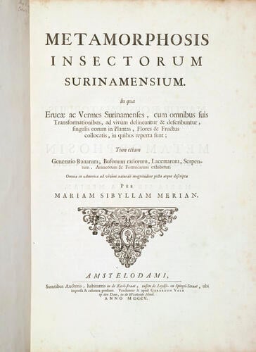 Metamorphosis insectorum Surinamensium. In qua erucae ac vermes Surinamenses, cum omnibus suis transformationibus, ad vivum delineatur & describuntur, singulis eorum in plantas, flores & fructus colloeatis, in quibus reperta sunt; tum etiam generatio ranarum, busonum rariorum, lacertarum, serpentatum, araconium & formicarium exhibitur, omnia in America ad virum naturalis magnitudinae picta atque descripta / per Mariam Sibyllam Merian Metamorphosis insectorum Surinamensium. In qua erucae ac vermes Surinamenses, cum omnibus suis transformationibus, ad vivum delineatur & describuntur, singulis eorum in plantas, flores & fructus colloeatis, in quibus reperta sunt; tum etiam generatio ranarum, busonum rariorum, lacertarum, serpentatum, araconium & formicarium exhibitur, omnia in America ad virum naturalis magnitudinae picta atque descripta / per Mariam Sibyllam Merian