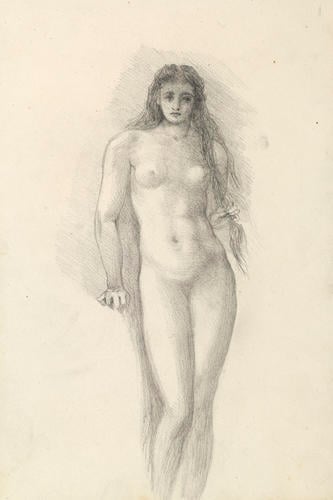 A female nude A female nude