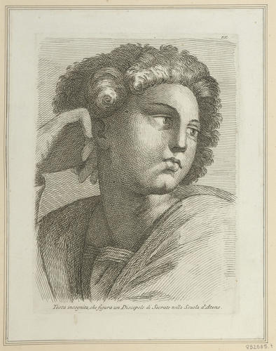 Master: Set of twenty-four heads from 'The School of Athens'
Item: Head of a youth [from 'The School of Athens']