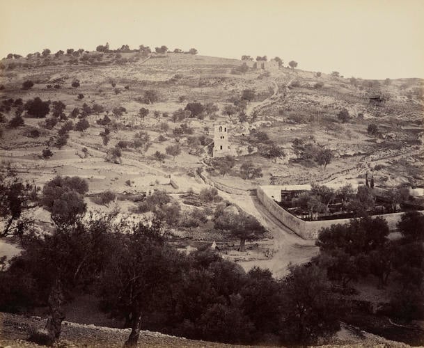 The Mount of Olives and Garden of Gethsemane [Jerusalem]