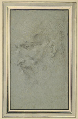 The head of a bearded man The head of a bearded man