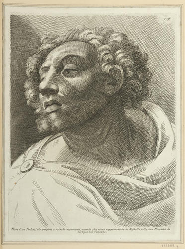 Master: Set of twenty-seven heads from 'The Disputa'
Item: Head of a bearded man [from 'The Disputa']