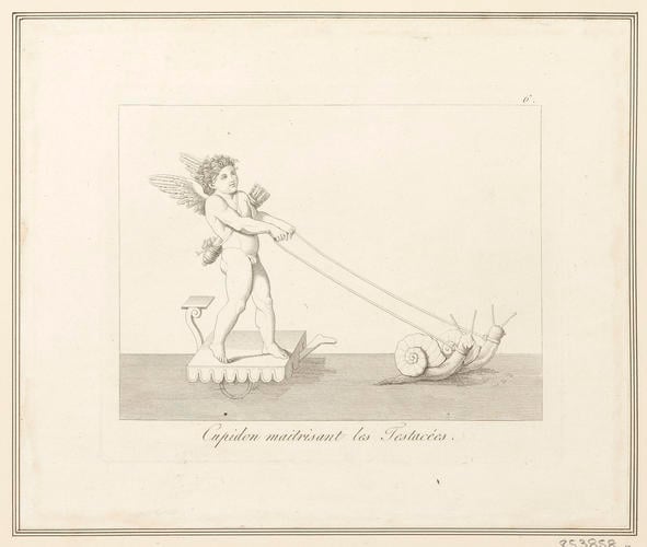 Master: Decoration of Cardinal Bibbiena's stufetta in the Vatican
Item: Cupid commanding the snails