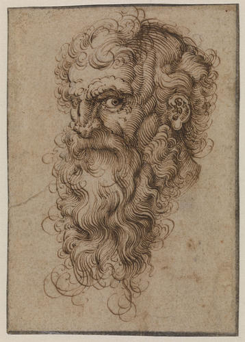 The head of a bearded man, facing left