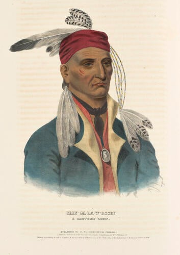 History of the Indian tribes of North America : with biographical sketches and anecdotes of the principal chiefs. Embellished with one hundred and twenty portraits from the Indian Gallery in the Department of War, at Washington ; v. 1 / by Thomas L. M'Kenney. . . and James Hall