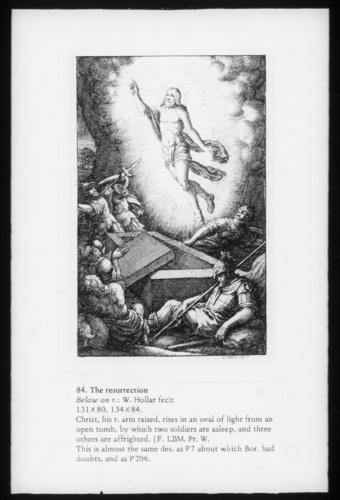 The Resurrection The Resurrection