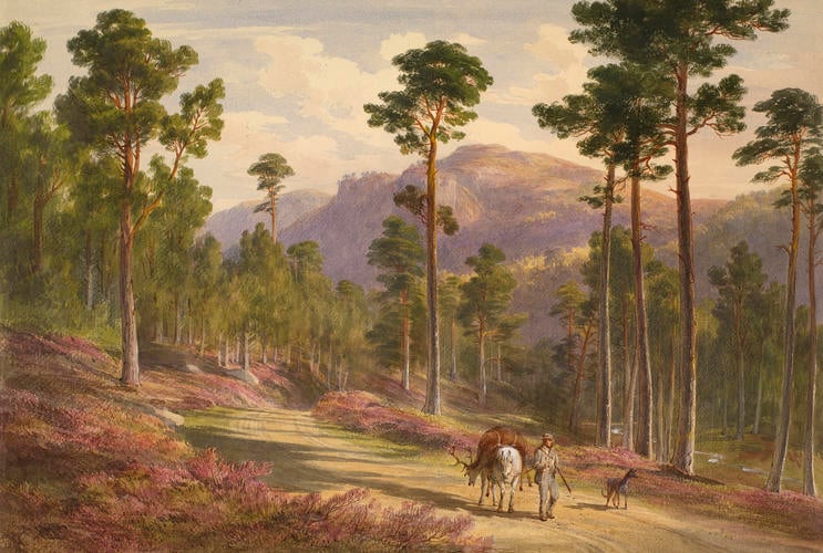 View near the west boundary of the Balmoral and Invercauld Forest View near the west boundary of the Balmoral and Invercauld Forest