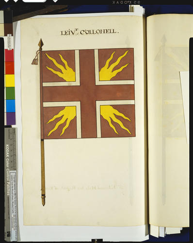 Drawings of the Colours and Standards of the British Army : Tempore James II &c. &c. &c