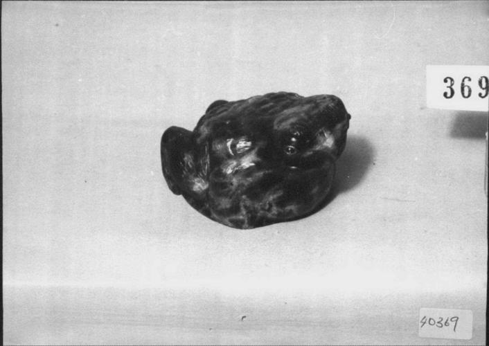 Toad