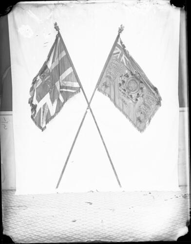 Glass plate negative Glass plate negative