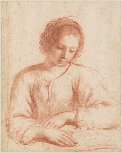 A girl seated behind a table, reading A girl seated behind a table, reading