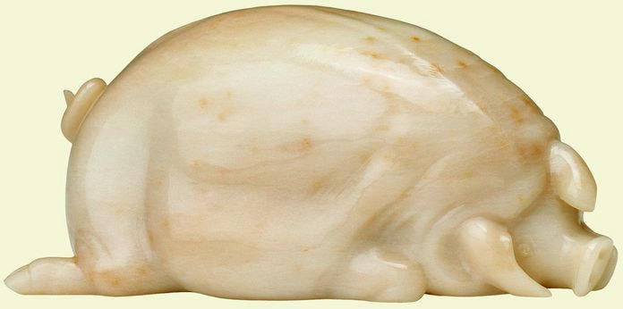 Large white sow