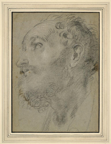 The head of a bearded man The head of a bearded man