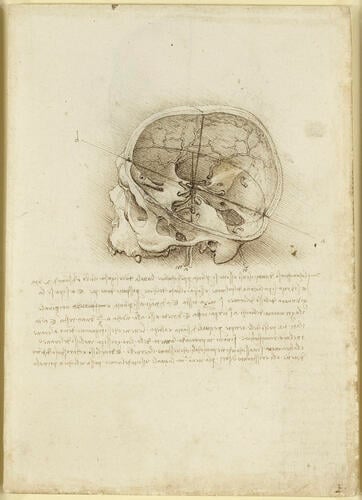 Recto: The cranium sectioned. Verso: The skull sectioned Recto: The cranium sectioned. Verso: The skull sectioned