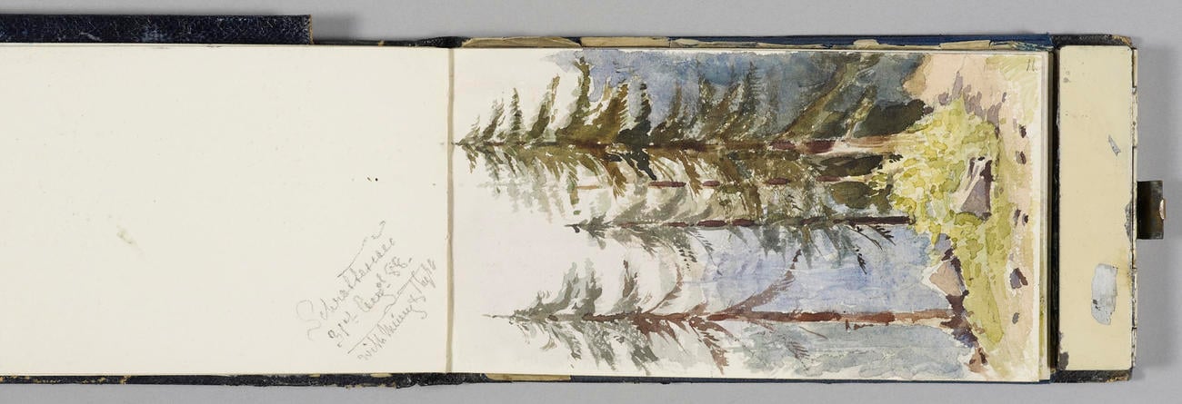 Master: Queen Alexandra's Sketchbook 1884-89
Item: Fir trees