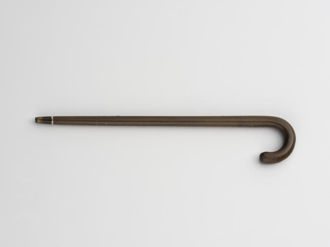 Walking stick Walking stick