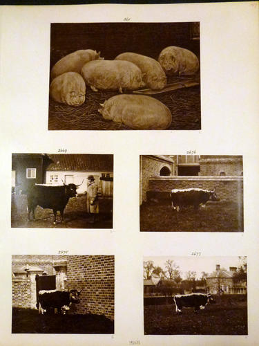 Page from Catalogue of Queen Victoria's Private Negatives, Vol. I Page from Catalogue of Queen Victoria's Private Negatives, Vol. I