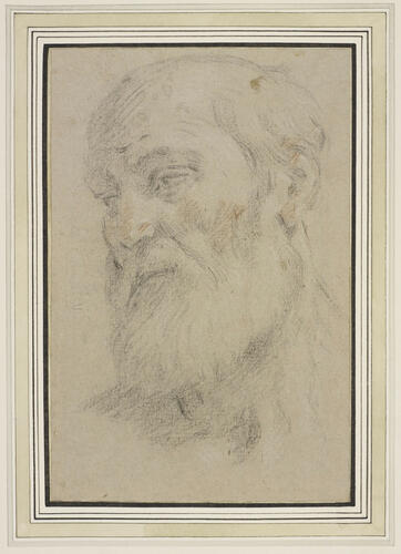 The head of a bearded man