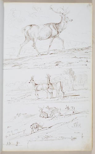 Sketchbook
