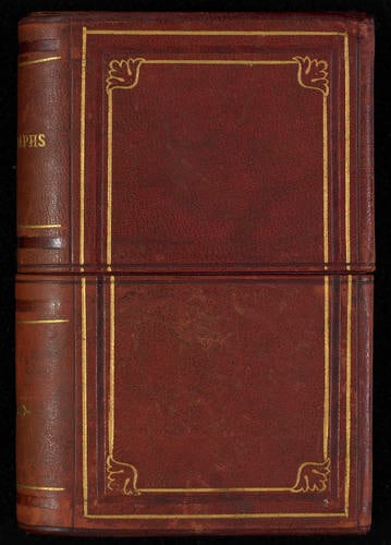 Decorative album shaped box containing cartes-de-visite photographs Decorative album shaped box containing cartes-de-visite photographs