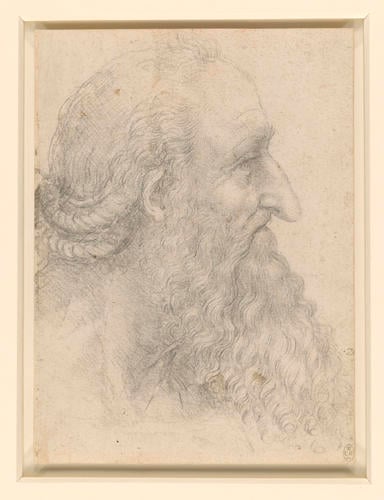 The head of an old bearded man The head of an old bearded man