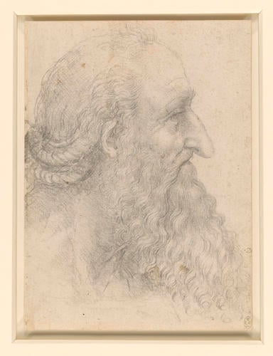 The head of an old bearded man