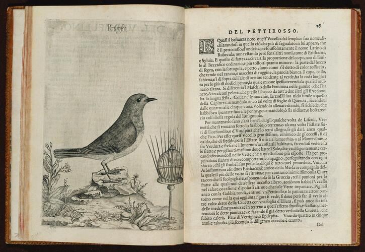 Uccelliera overo discorso della natura e proprieta di diversi uccelli e in particolare di que che cantano, con il modo di prendergli. . . Uccelliera overo discorso della natura e proprieta di diversi uccelli e in particolare di que che cantano, con il modo di prendergli. . .