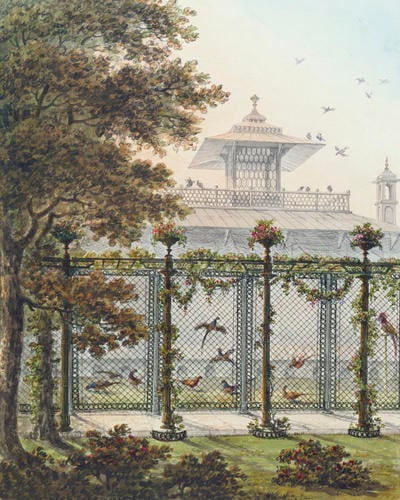 Designs for the Pavilion at Brighton: The Pheasantry