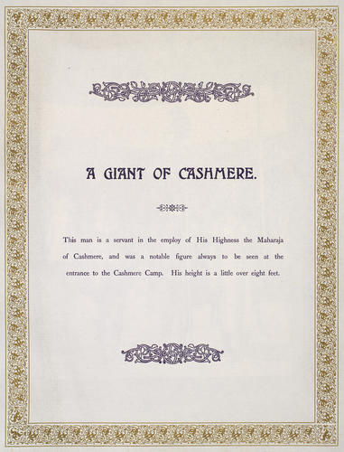 Kashmir Giant
