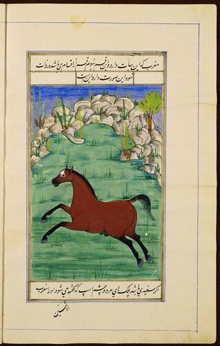 Farasnamah فرسنامه (A Treatise on Horses) and Dawlatnamah دولتنامه (A Treatise on Falcons)